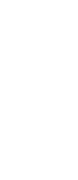 Popletas